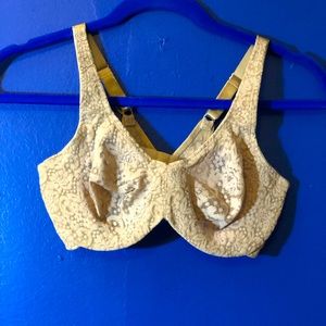 34D  Wacoal Full Figure Halo Lace Bra